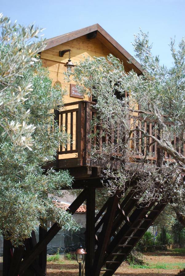 Bed & Breakfast Palazzo Conforti Tree House