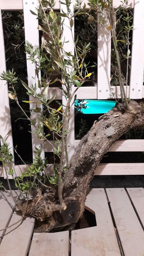 Palazzo Conforti Tree House Alojamento de Acomodação e Pequeno-almoço
