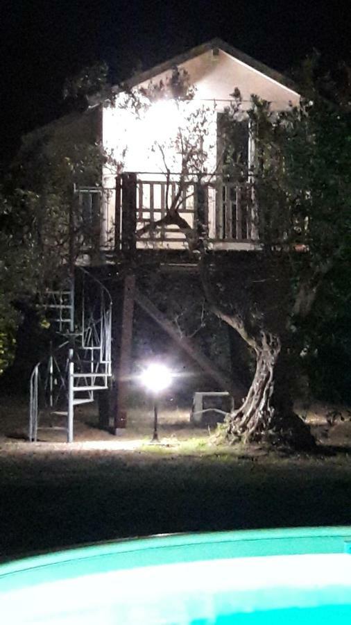 Alojamento de Acomodação e Pequeno-almoço Palazzo Conforti Tree House *