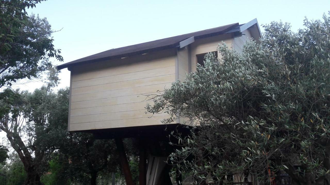 Palazzo Conforti Tree House * Rende