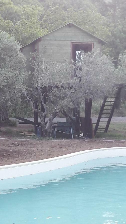 Palazzo Conforti Tree House Bed & Breakfast *