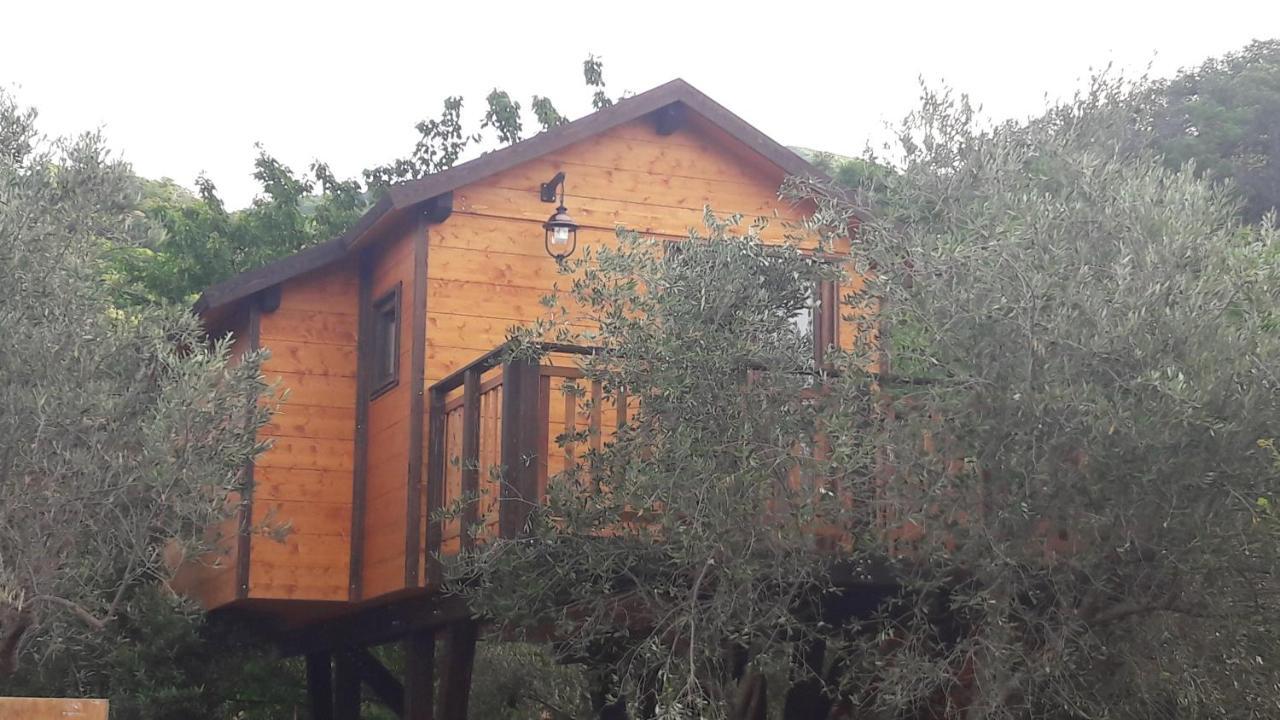 Bed & Breakfast Palazzo Conforti Tree House